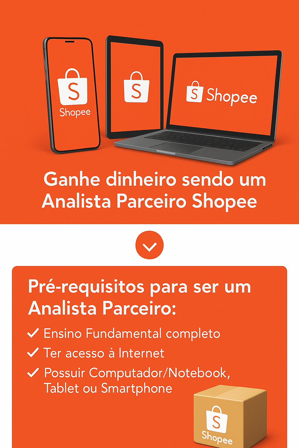 Seja um analista parceiro da Shopee